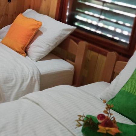 Apartman Orlovo Oko Mandići Kültér fotó